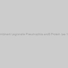 Image of Recombinant Legionella Pneumophila aroB Protein (aa 1-369)